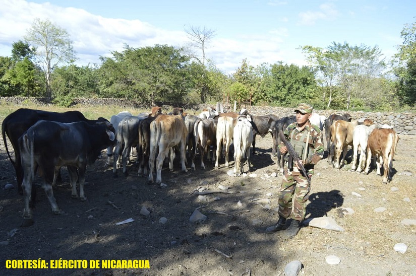 EJERCITO3